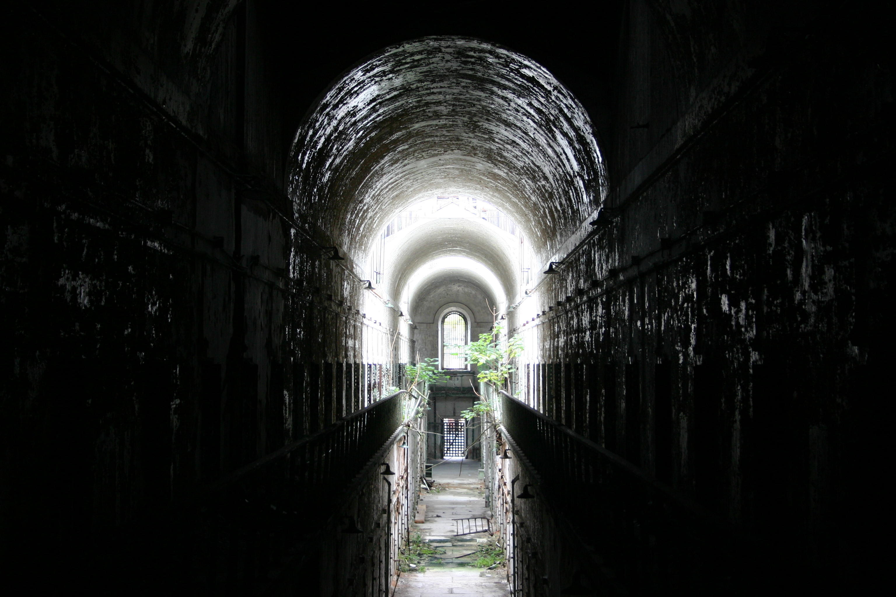 Fotografie von Tnerb1107 für DesignCrowd (Community Contests) | Design #9099149