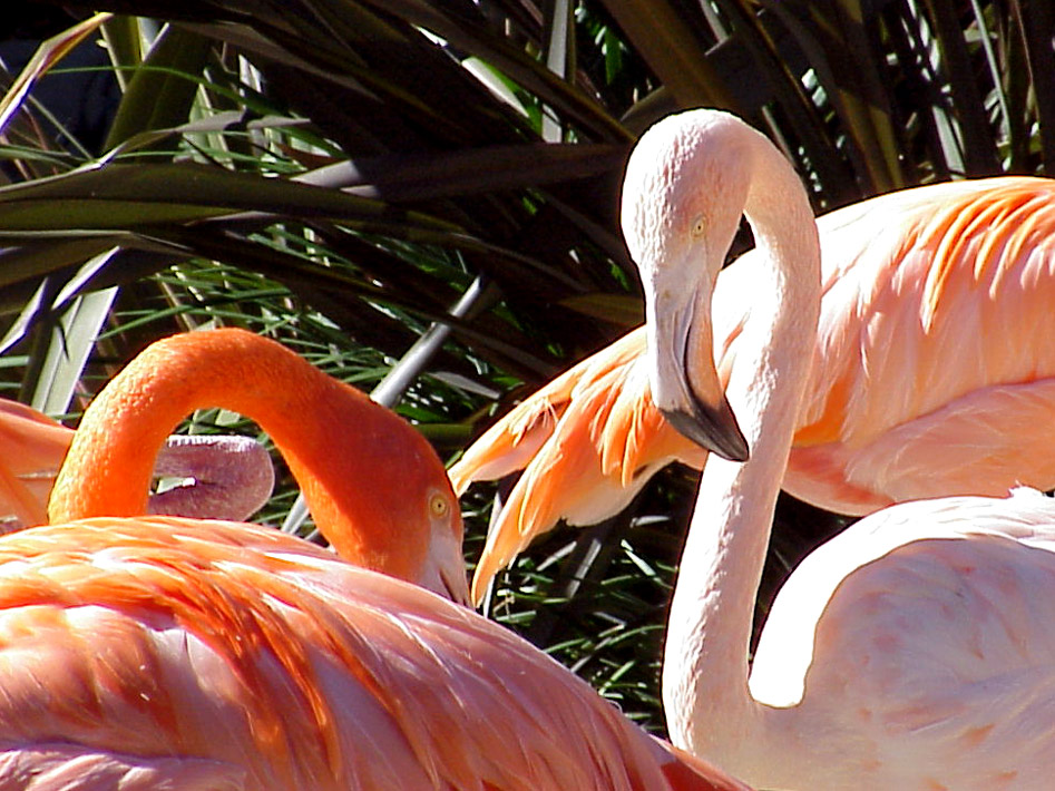 Photography by silverfall for DesignCrowd (Community Contests) | Design #9098590