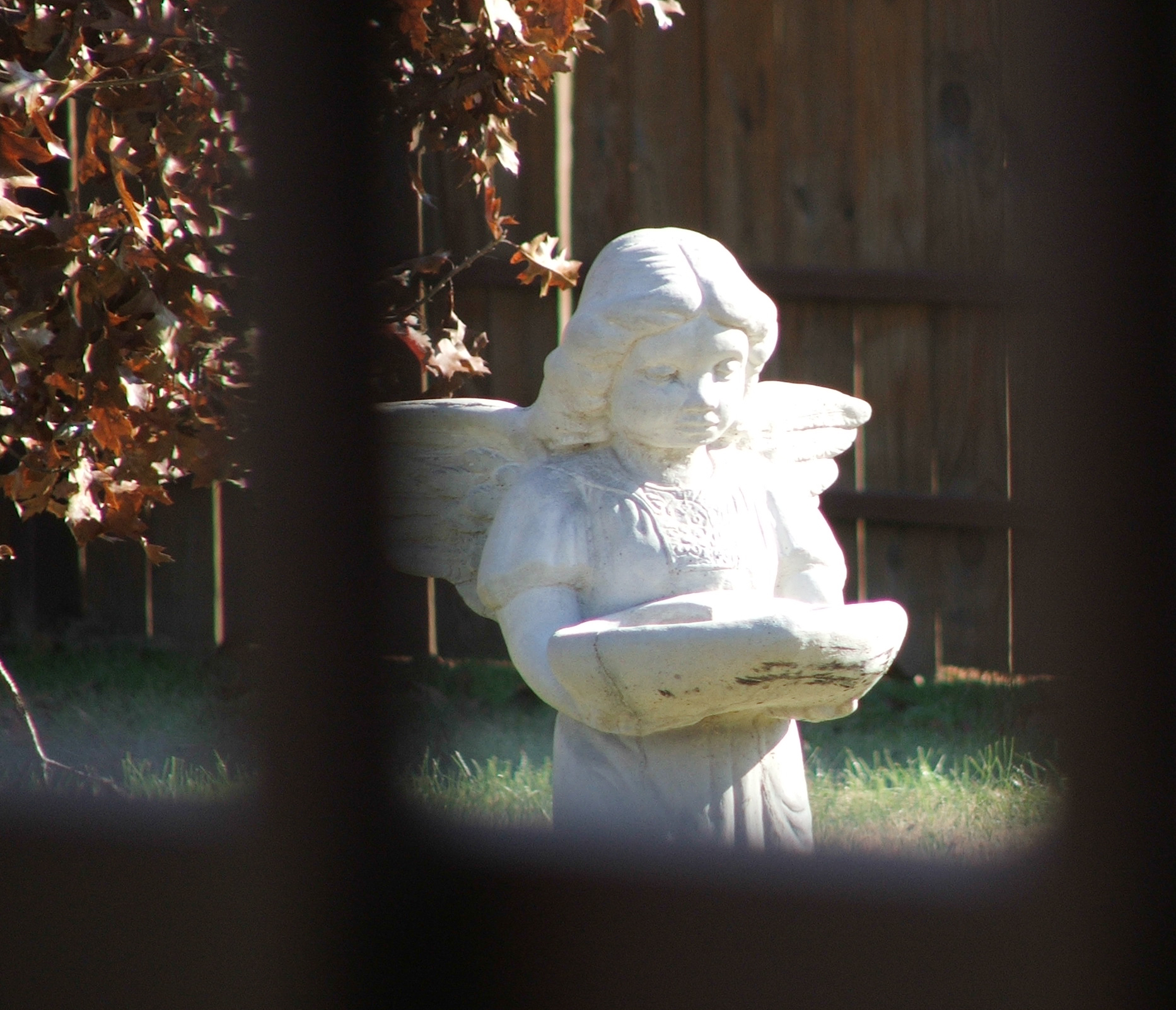 Fotografía por lostegg para DesignCrowd (Community Contests) | Diseño #9098596