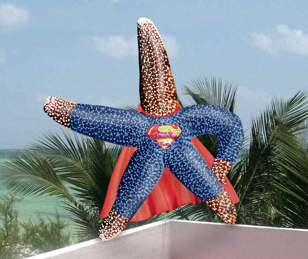 Design Photoshop par DestinationCreation pour DesignCrowd (Community Contests) | Design #9101141