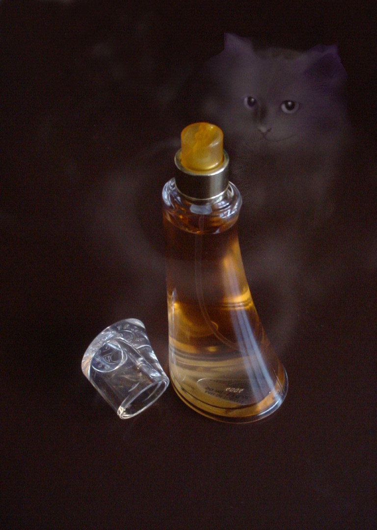 Design Photoshop par whitewhale pour DesignCrowd (Community Contests) | Design #9076485