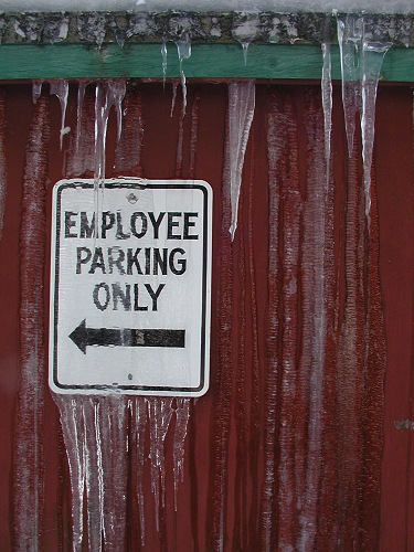 Photography by KarenC for DesignCrowd (Community Contests) | Design #9101377