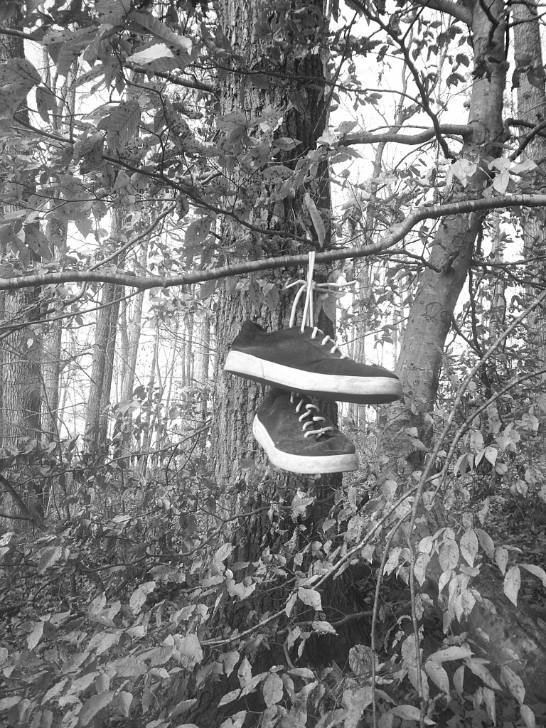 Photographie par cicisunflower pour DesignCrowd (Community Contests) | Design #9102879