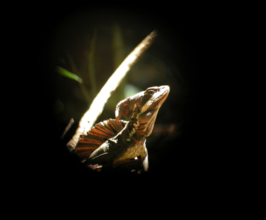 Photography by MODU34 for DesignCrowd (Community Contests) | Design #9099269