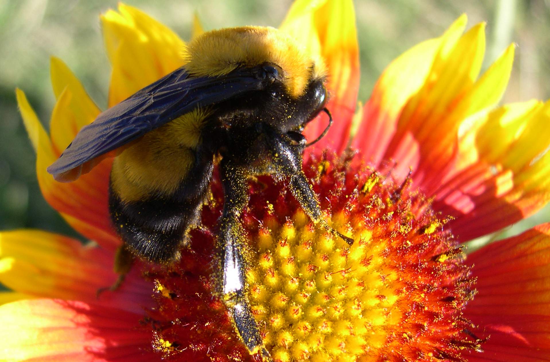 Fotografía por PINKPEPPER para DesignCrowd (Community Contests) | Diseño #9098623