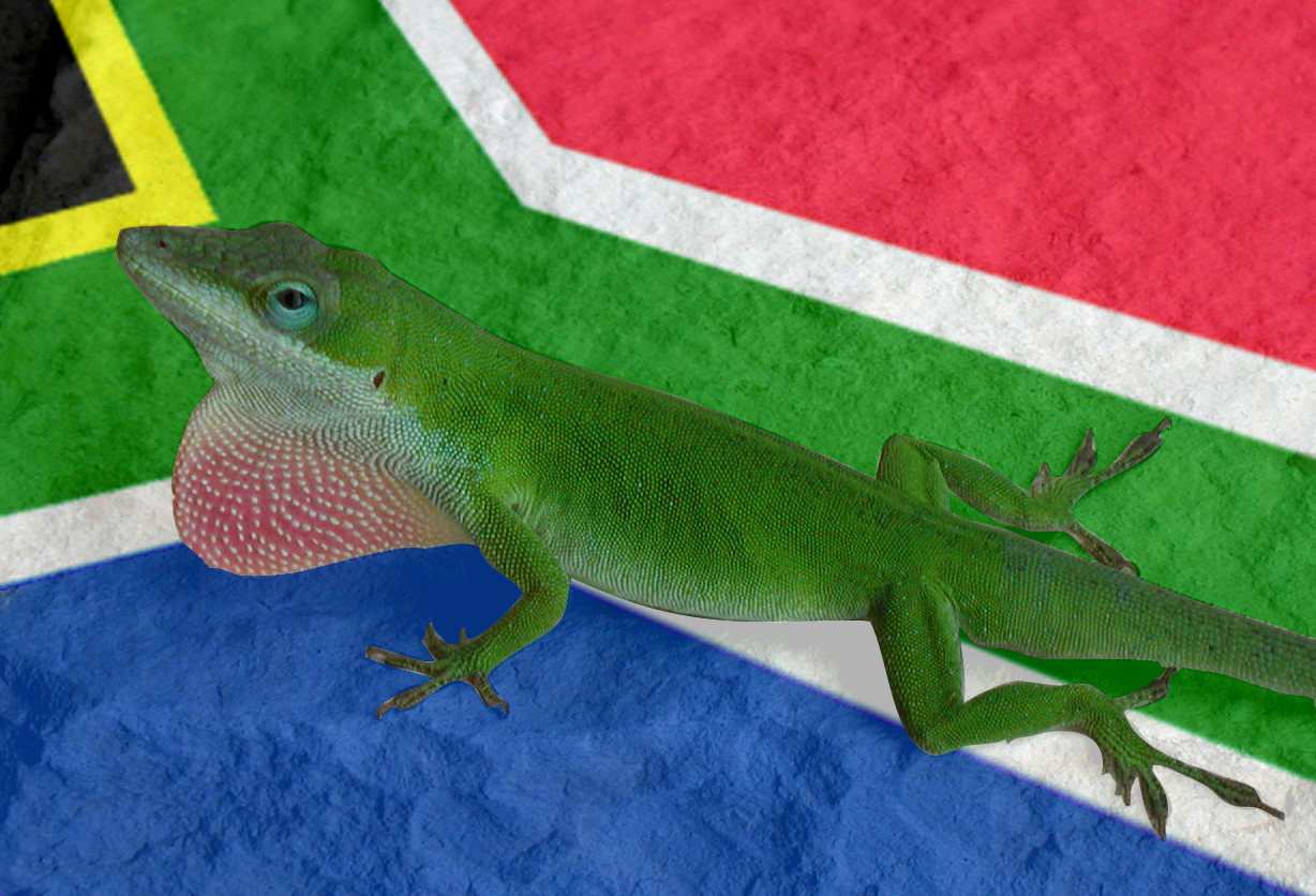 Photoshop Design by sacam77 for DesignCrowd (Community Contests) | Design #9099818