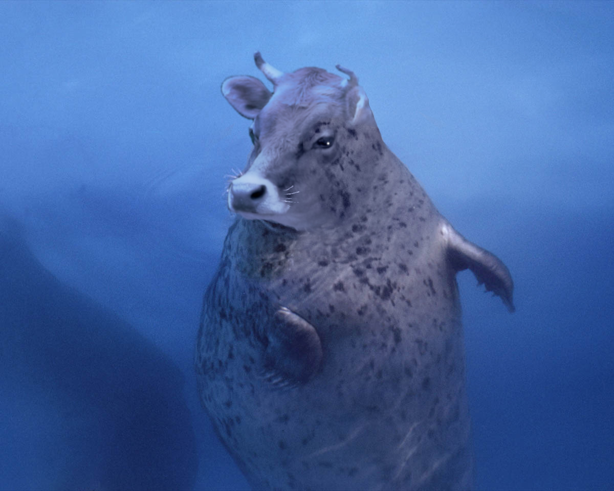 Photoshop Design by Mupshur for DesignCrowd (Community Contests) | Design #9097153