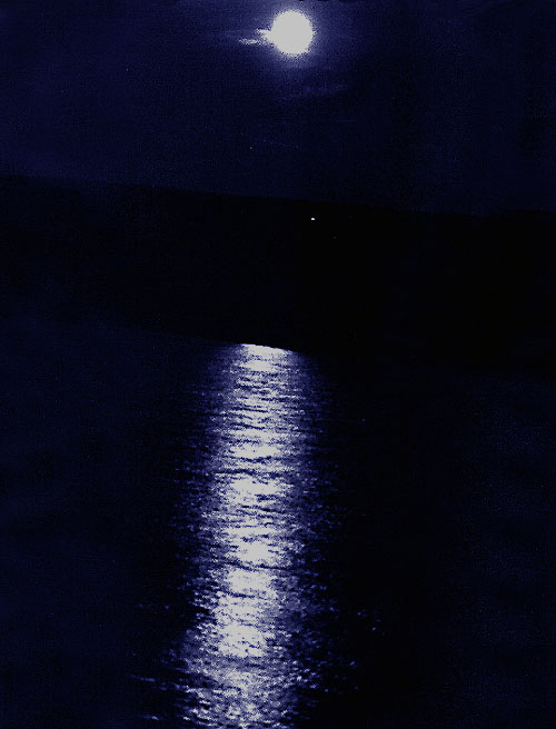 Fotografie von lahgon für DesignCrowd (Community Contests) | Design #9099236