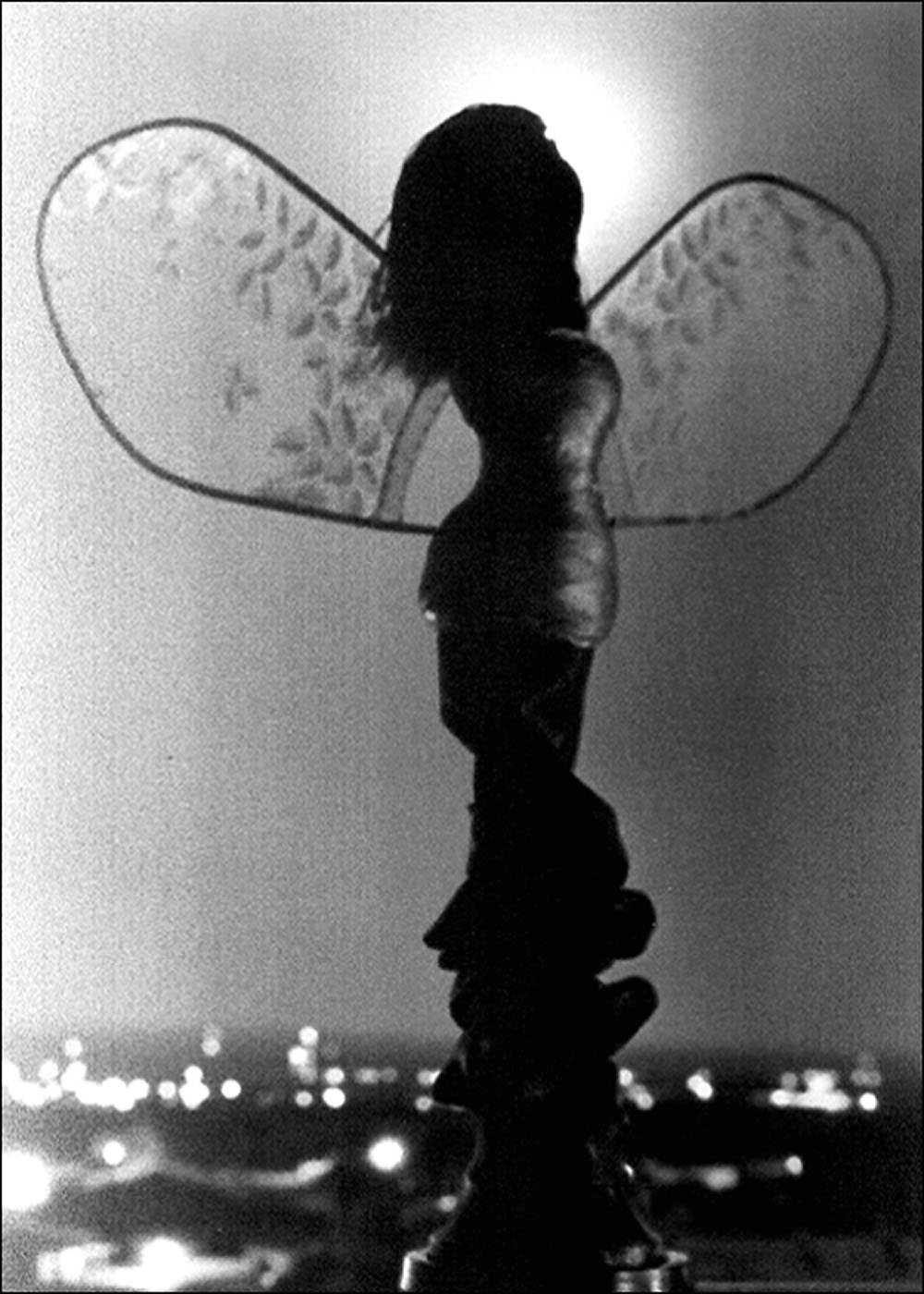 Fotografía por lahgon para DesignCrowd (Community Contests) | Diseño #9098688