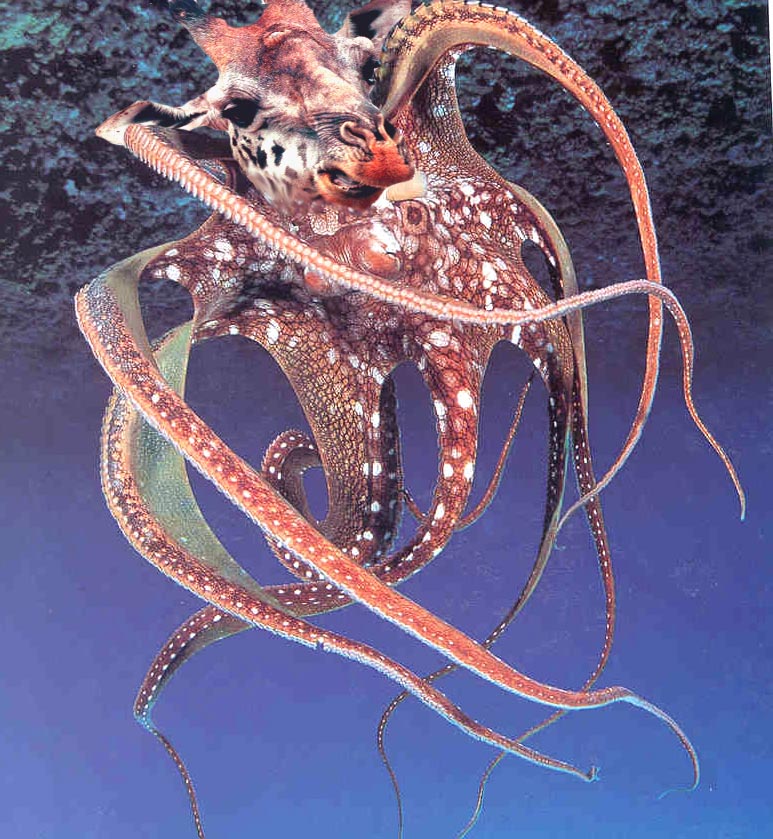 Diseño de Photoshop por Chupakabra para DesignCrowd (Community Contests) | Diseño #9097218