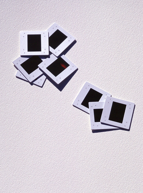 Photography by oteimages for DesignCrowd (Community Contests) | Design #9073826