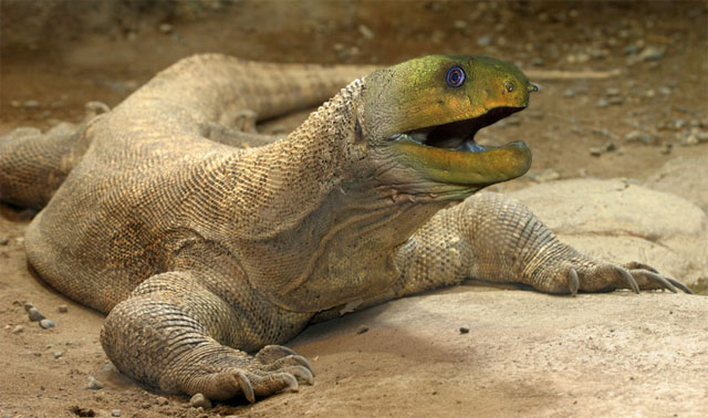 Photoshop-Design von ddost001 für DesignCrowd (Community Contests) | Design #9097232