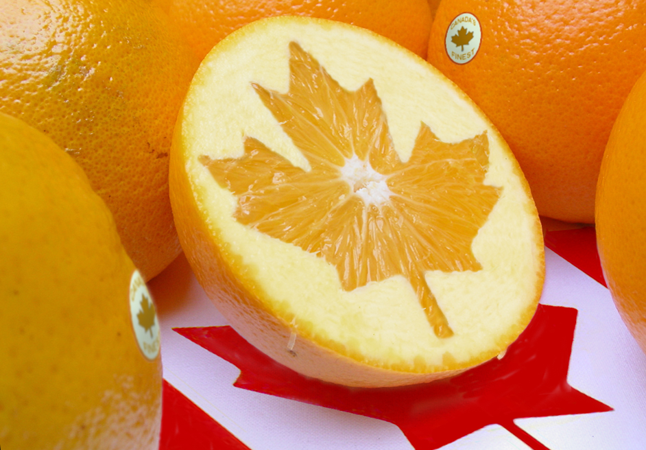 Photoshop Design by Partyshot for DesignCrowd (Community Contests) | Design #9100224