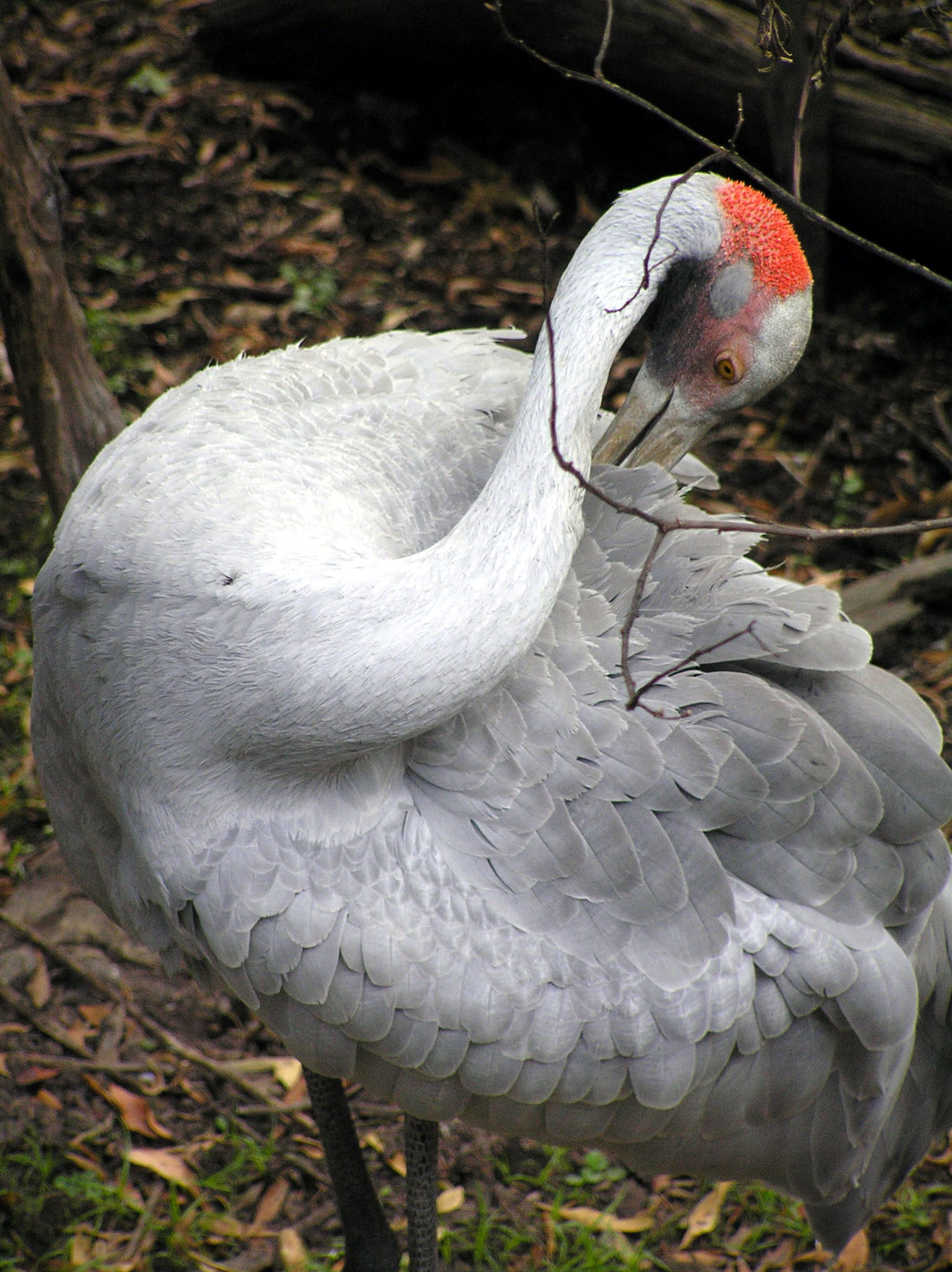 Photography by virtualstrauss for DesignCrowd (Community Contests) | Design #9098655