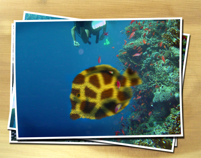 Diseño de Photoshop por mettehaahr para DesignCrowd (Community Contests) | Diseño #9097500