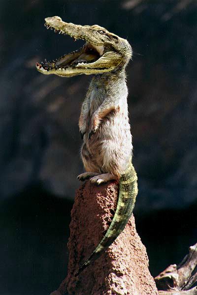 Photoshop Design by RandomAssembly for DesignCrowd (Community Contests) | Design #9097517