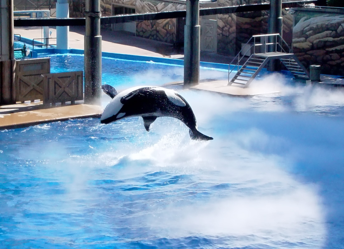 Photography by modine for DesignCrowd (Community Contests) | Design #9073854