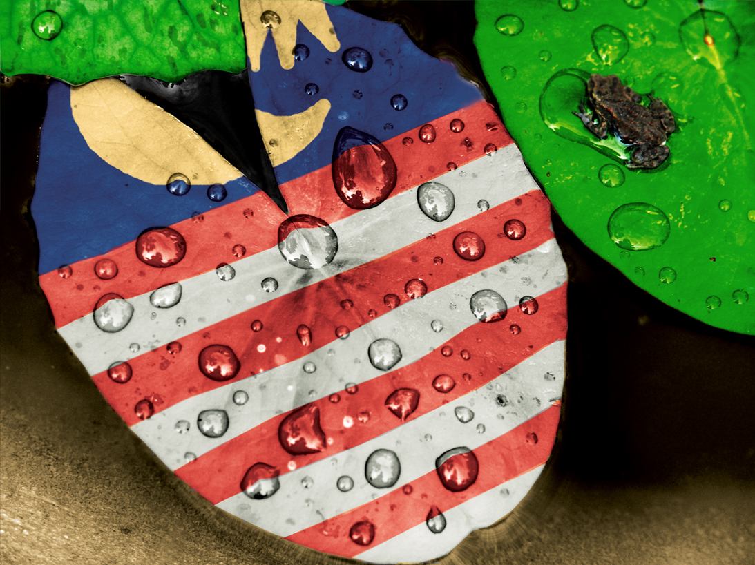 Design Photoshop par zulittle pour DesignCrowd (Community Contests) | Design #9100355