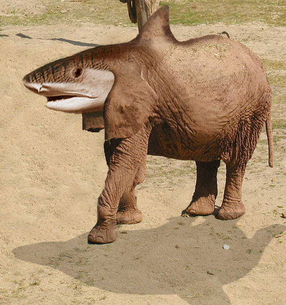 Diseño de Photoshop por Aaron para DesignCrowd (Community Contests) | Diseño #9097523