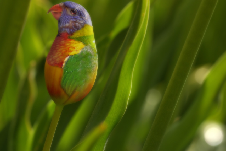 Photoshop Design by darrellperry for DesignCrowd (Community Contests) | Design #9098858