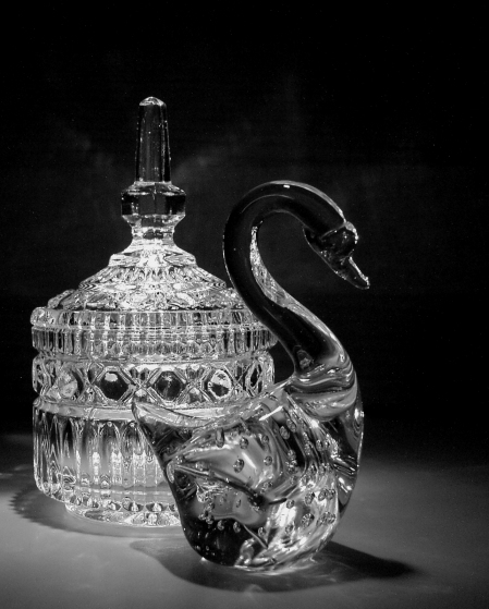 Fotografie von CynLynn für DesignCrowd (Community Contests) | Design #9099292