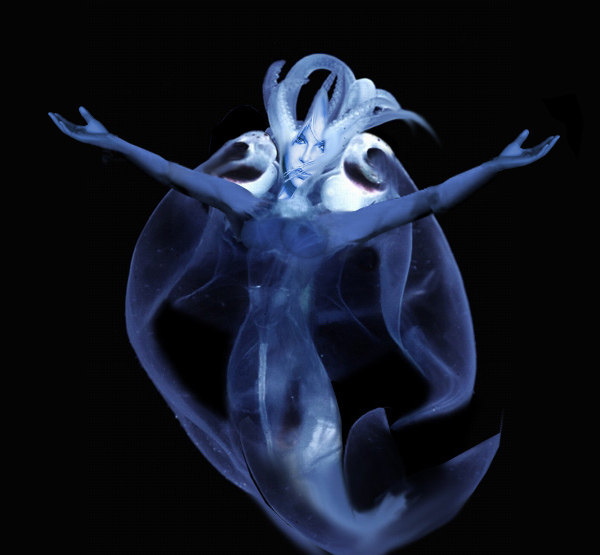 Photoshop-Design von BrianOBlivion für DesignCrowd (Community Contests) | Design #9097454