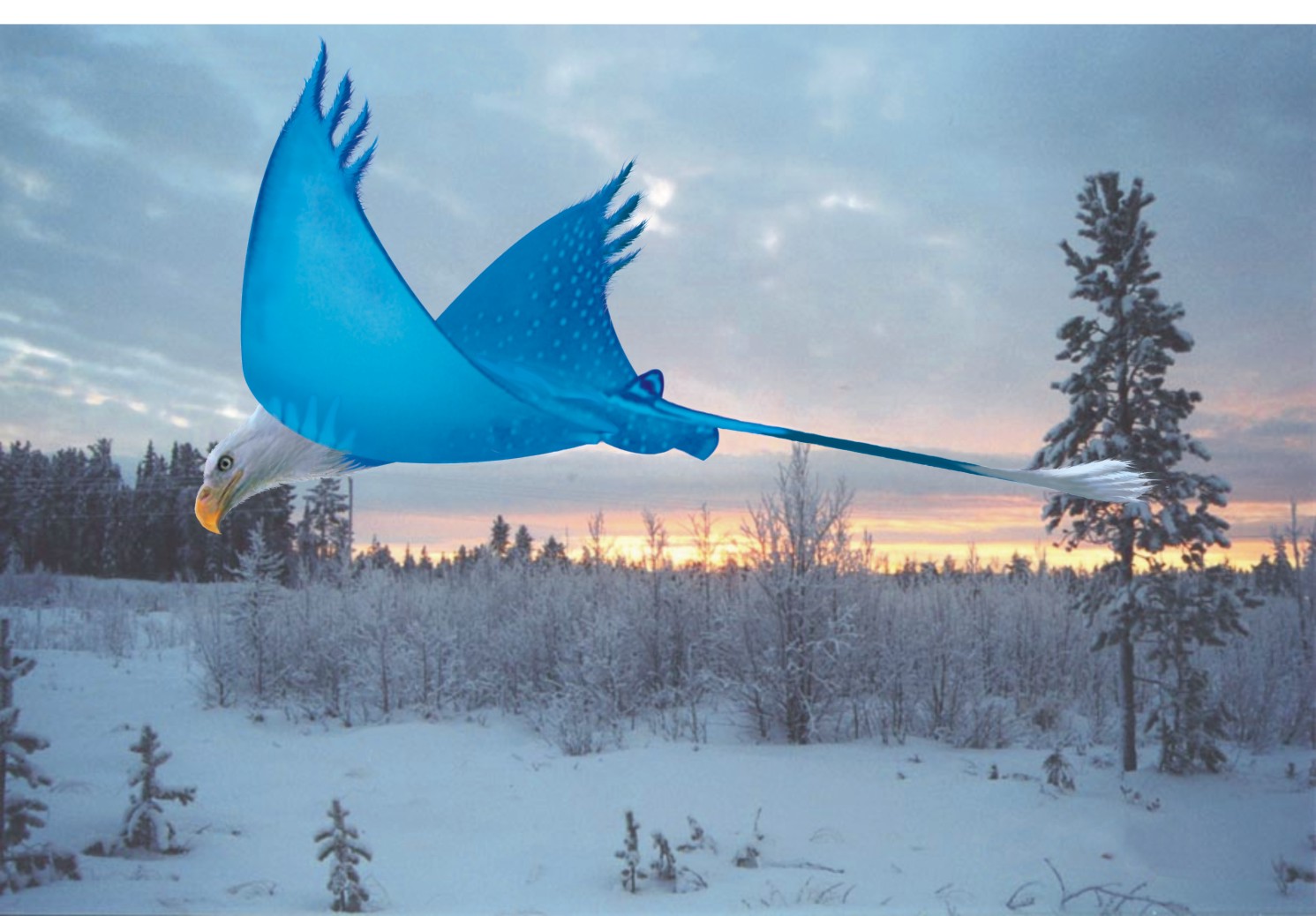 Photoshop Design by advertizatt for DesignCrowd (Community Contests) | Design #9097419