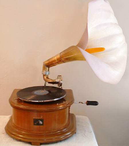 Photoshop Design by srinoo for DesignCrowd (Community Contests) | Design #9098861