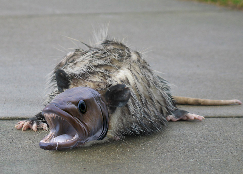 Photoshop Design by eduj65 for DesignCrowd (Community Contests) | Design #9097404