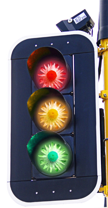 Photoshop-Design von Funkylemon für DesignCrowd (Community Contests) | Design #9098878