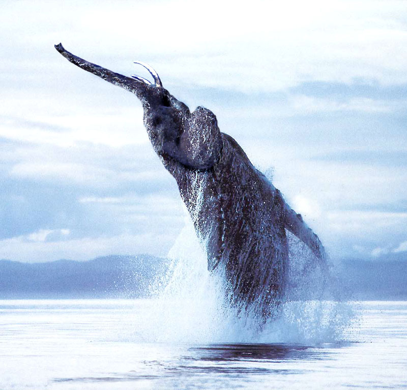 Photoshop Design by jobigoud for DesignCrowd (Community Contests) | Design #9097429