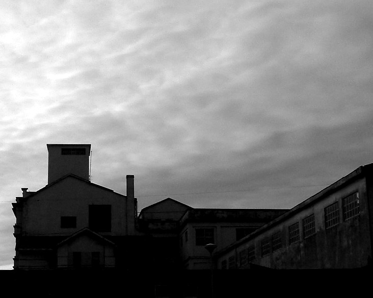 Photography by HeatherMorris for DesignCrowd (Community Contests) | Design #9099397