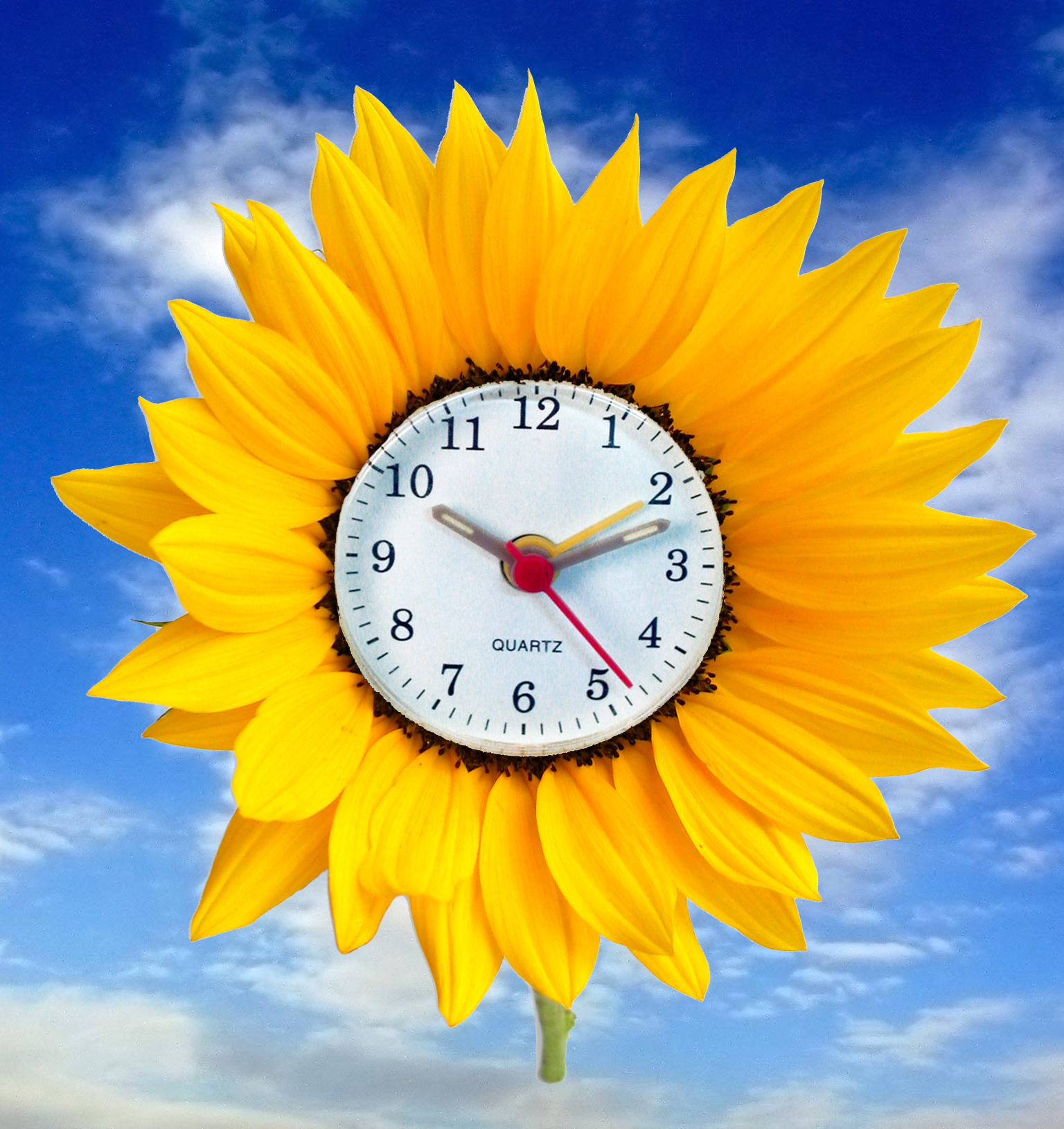 Photoshop Design by zaguri for DesignCrowd (Community Contests) | Design #9098874