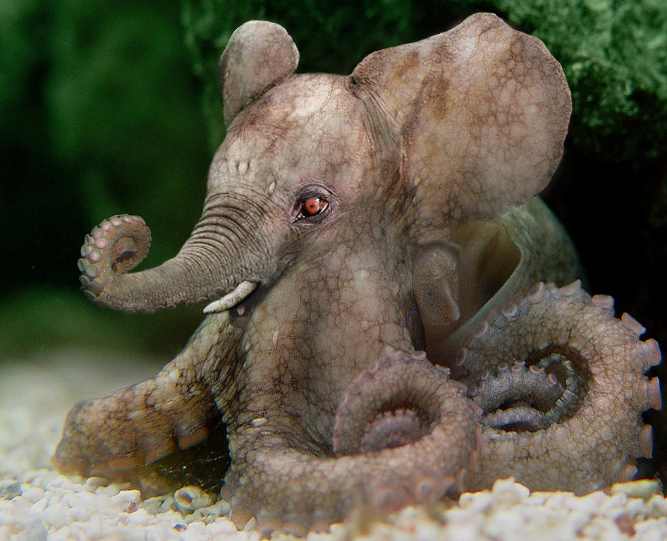 Photoshop Design by robster for DesignCrowd (Community Contests) | Design #9097587