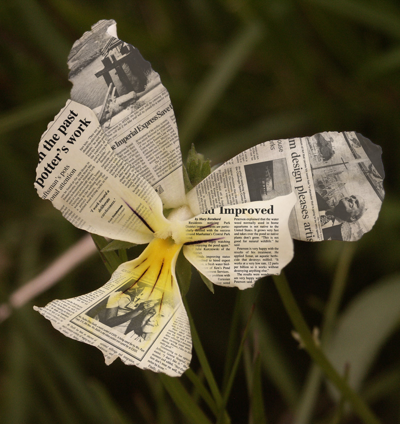 Photoshop Design by 123lezy for DesignCrowd (Community Contests) | Design #9098887