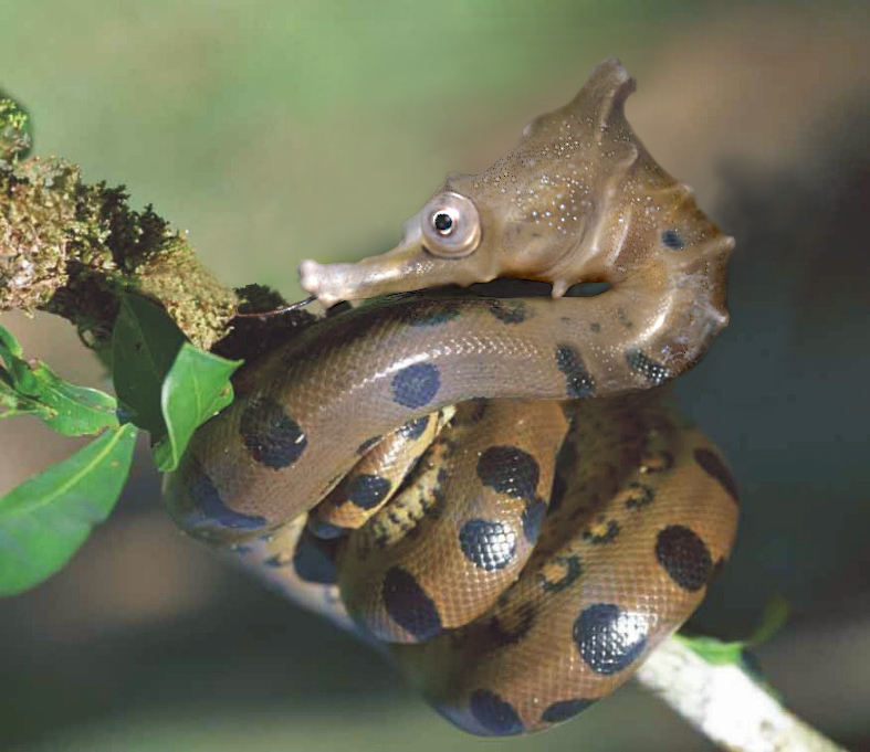 Photoshop-Design von Dimmuborgir für DesignCrowd (Community Contests) | Design #9097745