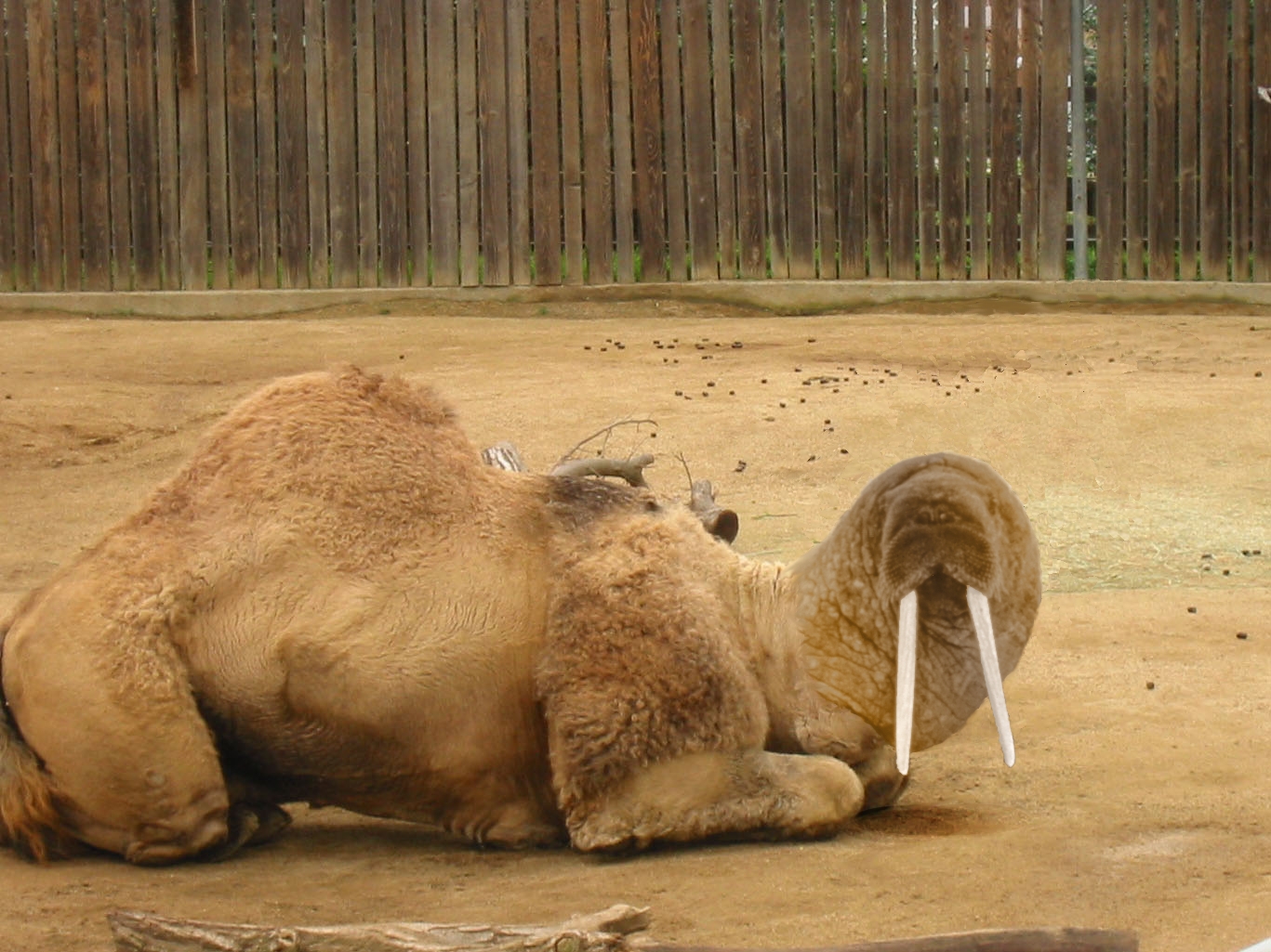 Photoshop Design by pratsa for DesignCrowd (Community Contests) | Design #9097708