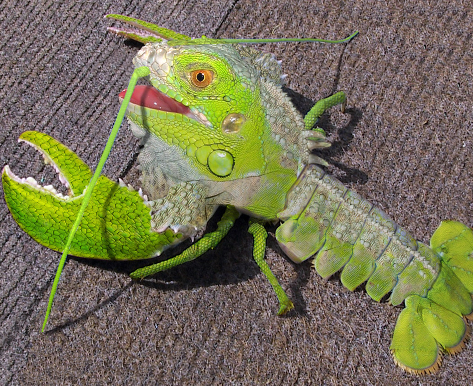 Photoshop-Design von Penbender für DesignCrowd (Community Contests) | Design #9097632