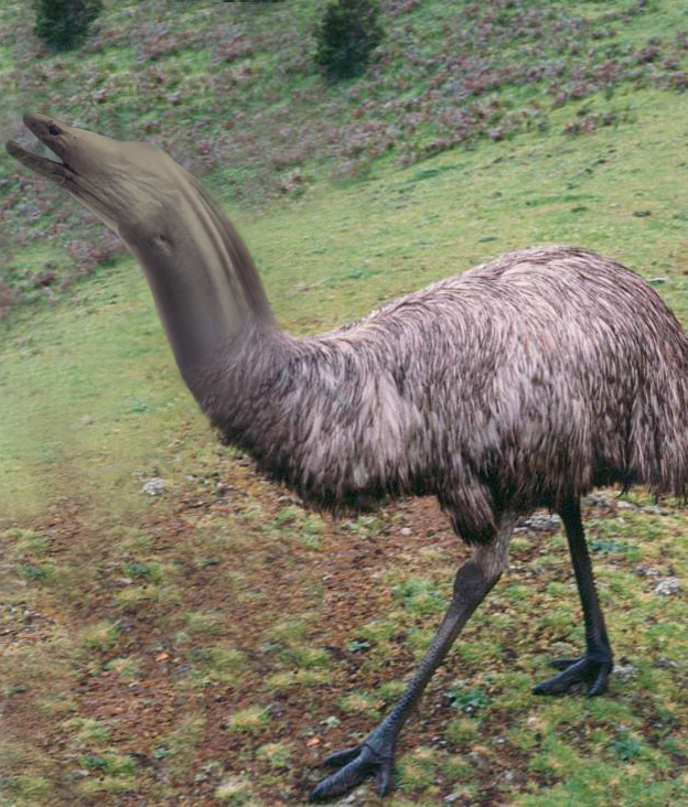 Photoshop Design by HeatherB for DesignCrowd (Community Contests) | Design #9097664