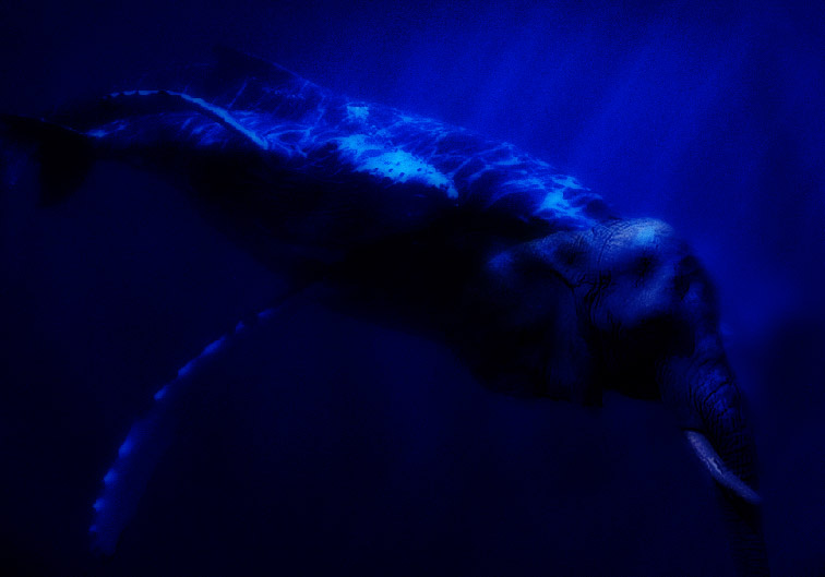 Photoshop-Design von bartleby für DesignCrowd (Community Contests) | Design #9097624