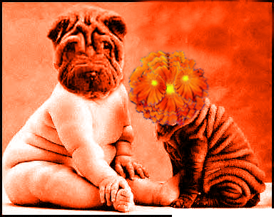 Photoshop Design by zuraldbay for DesignCrowd (Community Contests) | Design #9099101