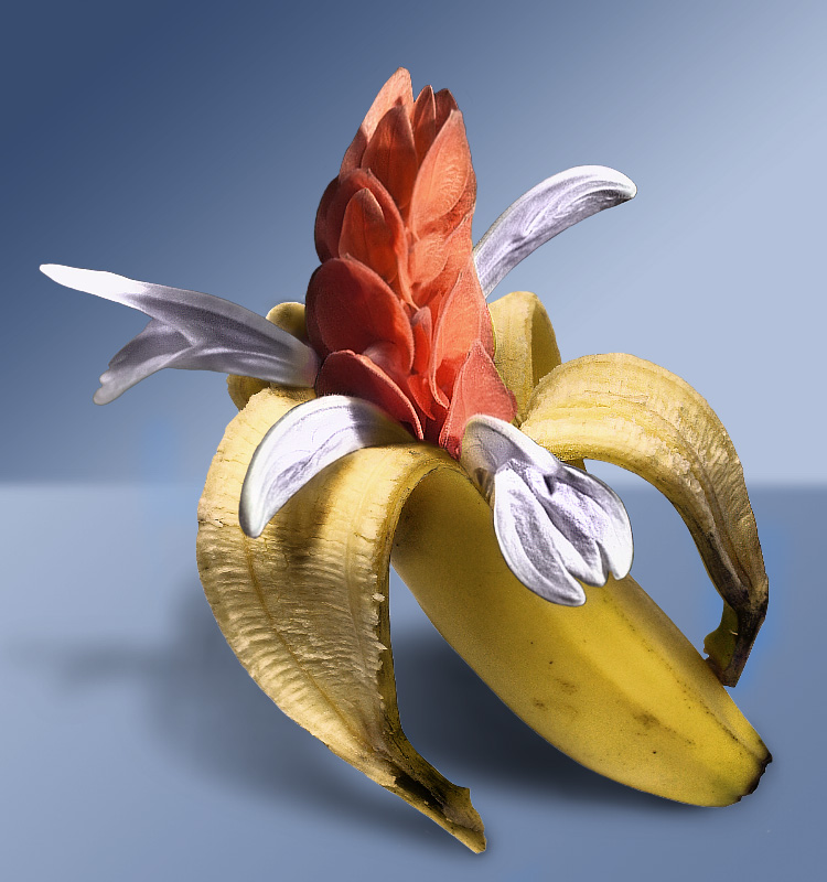 Photoshop Design by GeHo84 for DesignCrowd (Community Contests) | Design #9099062