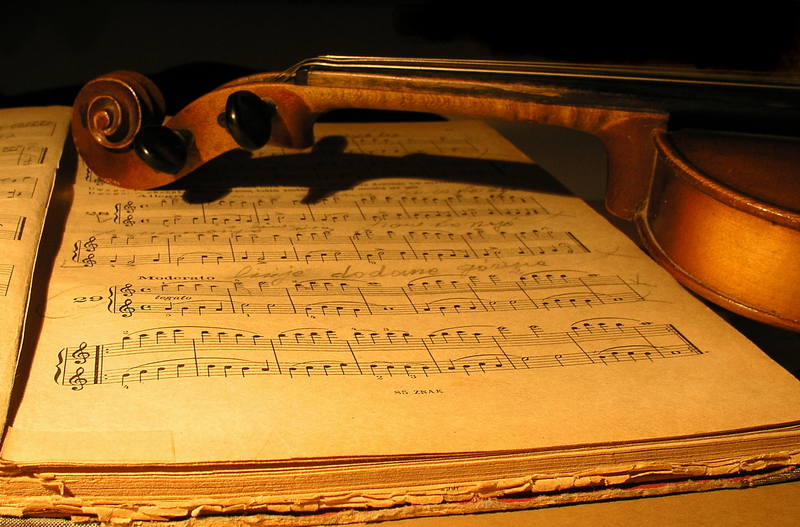 Photography by mzmzmzmz for DesignCrowd (Community Contests) | Design #9101661