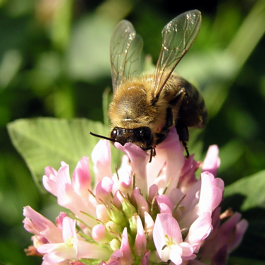 Photography by mzmzmzmz for DesignCrowd (Community Contests) | Design #9098812