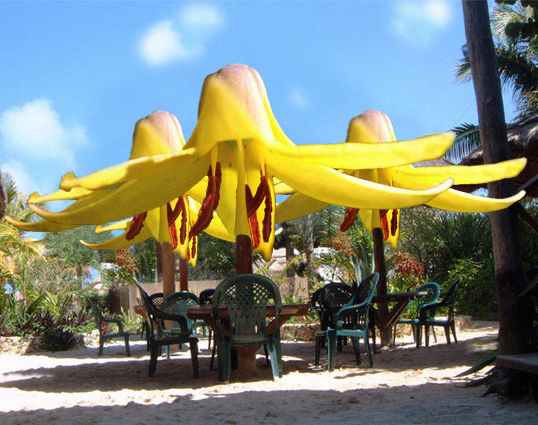 Design Photoshop par HeatherB pour DesignCrowd (Community Contests) | Design #9099068