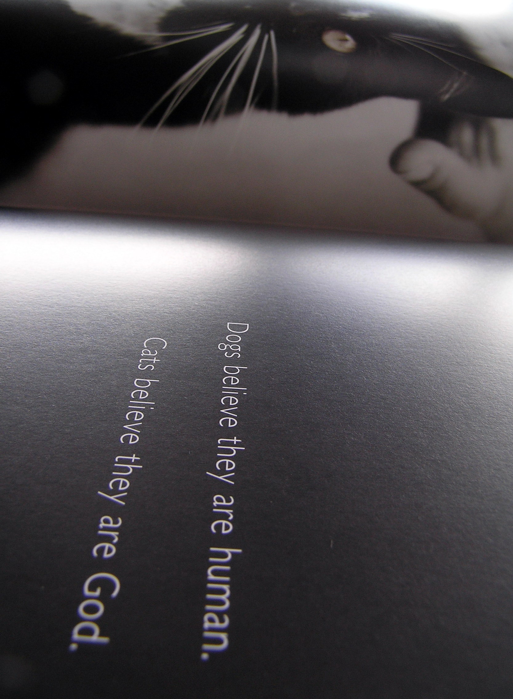 Photography by virtualstrauss for DesignCrowd (Community Contests) | Design #9101676