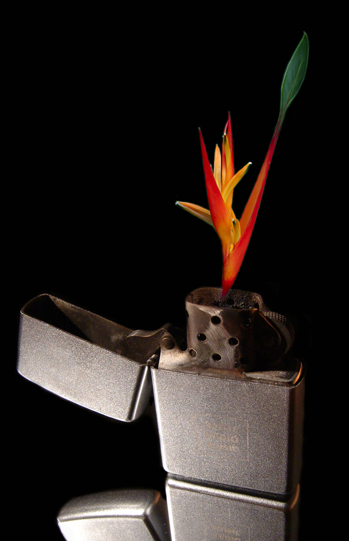 Design Photoshop par Dziedzic pour DesignCrowd (Community Contests) | Design #9099065