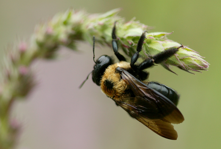 Fotografía por bobike para DesignCrowd (Community Contests) | Diseño #9098760