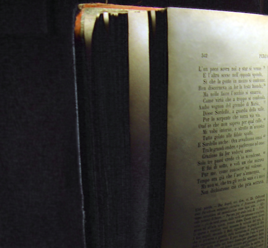 Fotografie von Claudio42 für DesignCrowd (Community Contests) | Design #9101690