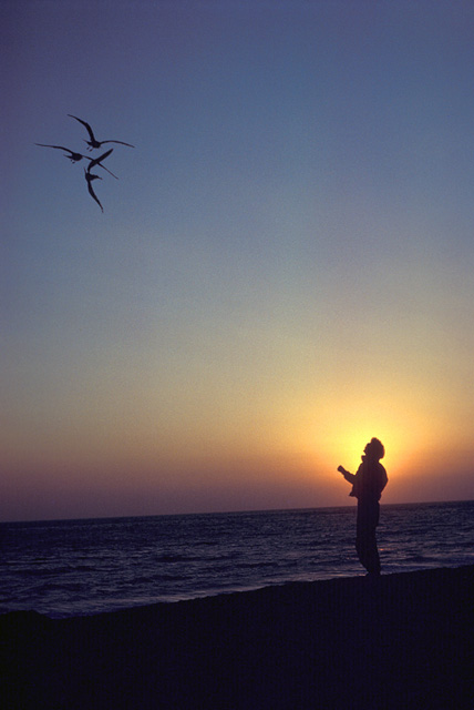 Photography by oteimages for DesignCrowd (Community Contests) | Design #9100473